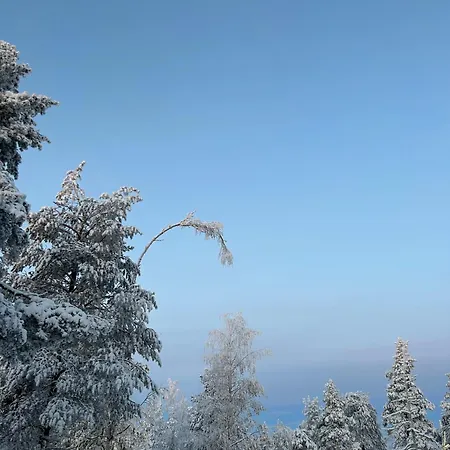 Kaamos House 别墅 罗瓦涅米