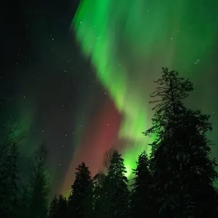 Kaamos House Villa Rovaniemi