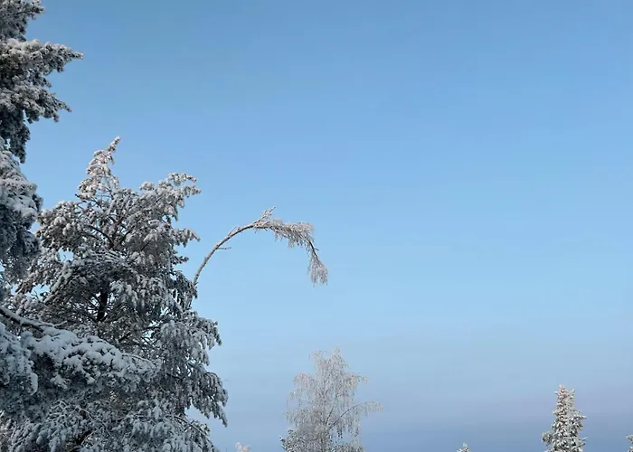 Kaamos House Βίλα Ροβανιέμι