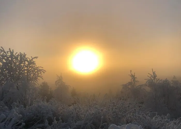 ヴィラ Kaamos House